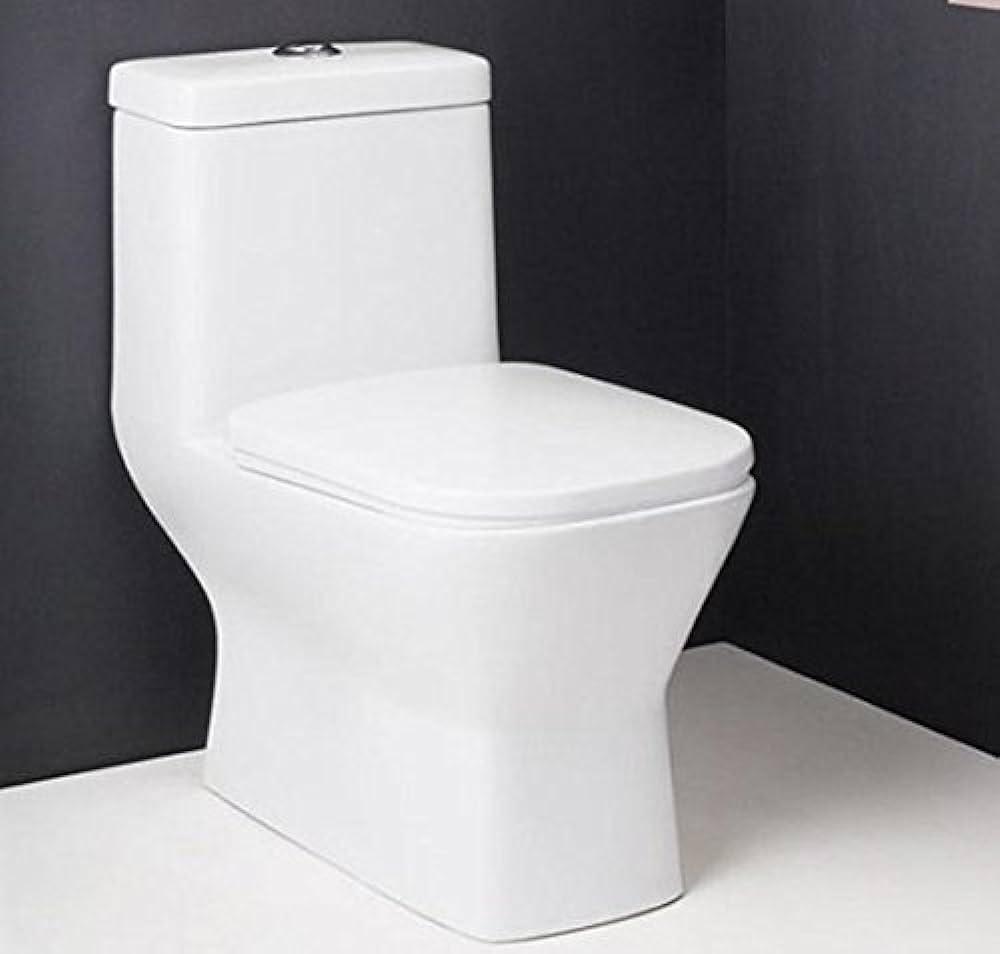 Comparing Western Toilets: One-Piece vs. Two-Piece vs. Wall-Hung Toilets